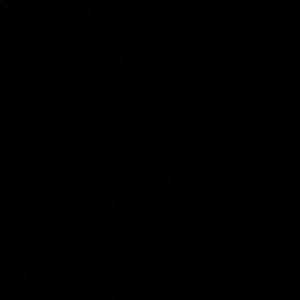 Meet your Posher, Cody